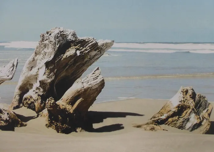 Br020-063 3 Pieces 4 Couchages Sur Brétignolles-sur-Mer